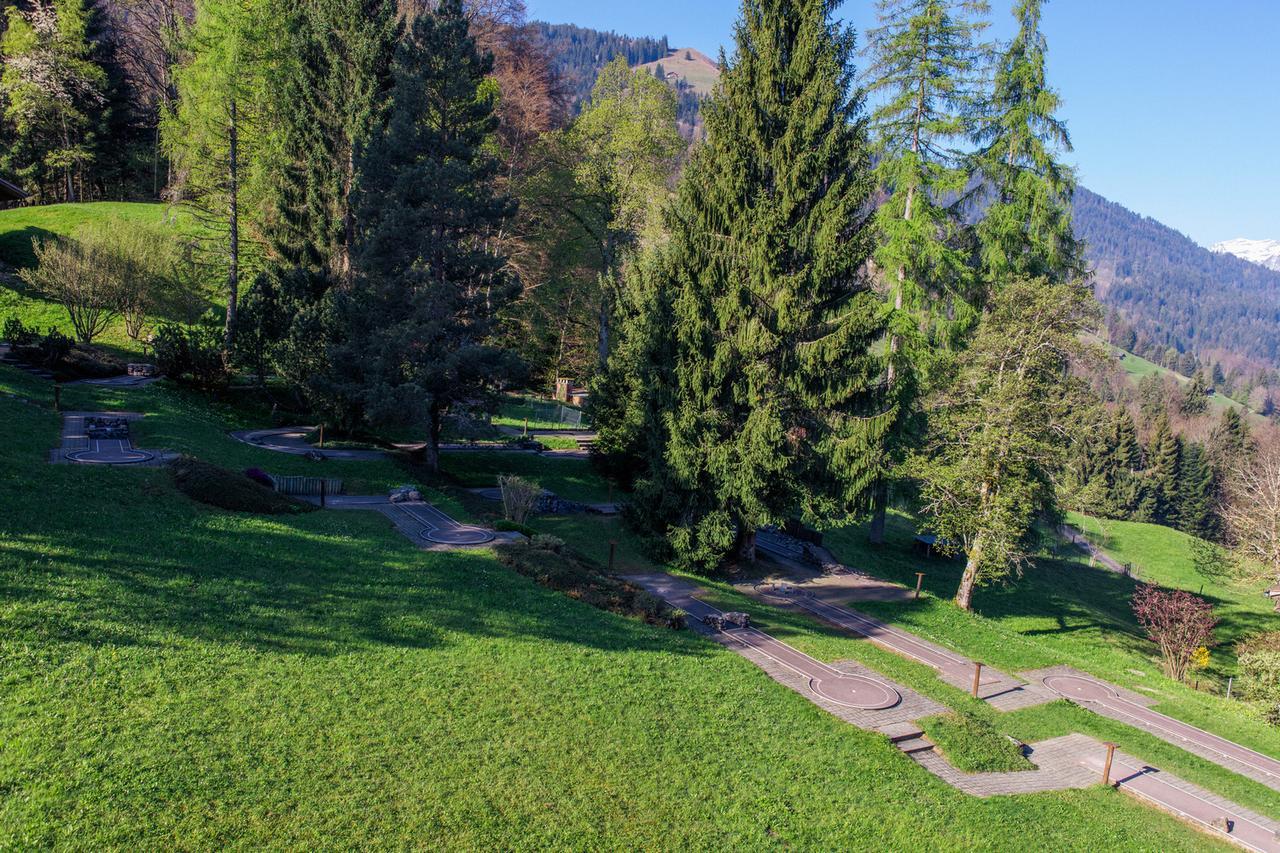 Hotel Meielisalp Лайссиген Экстерьер фото